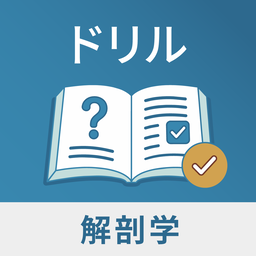 解剖学