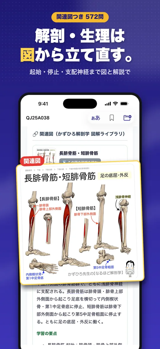 理由で解く 柔道整復師国試 iPhone版の画面 4