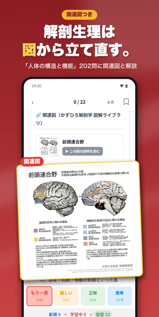 理由で解く 看護師国試 Android版の画面 8