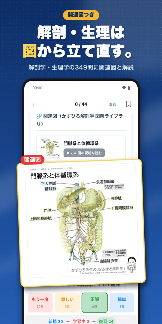 理由で解く 理学療法士国試 Android版の画面 6