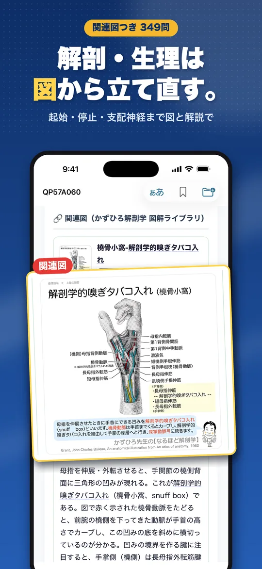 理由で解く 理学療法士国試 iPhone版の画面 4
