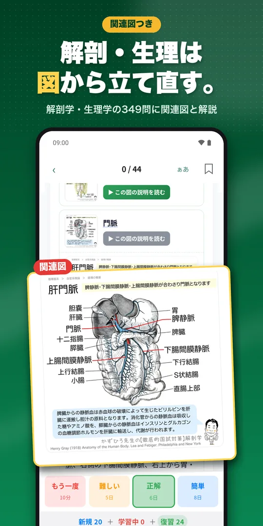 理由で解く 作業療法士国試 Android版の画面 6