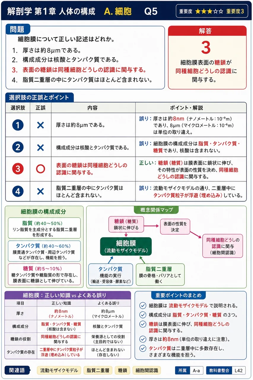 細胞膜について正しい記述はどれか。 解説図