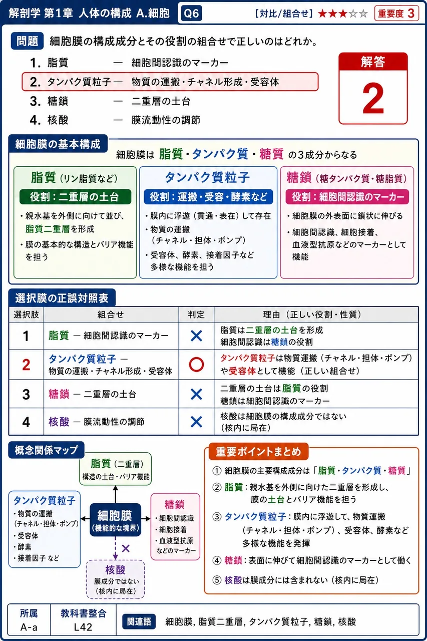 細胞膜の構成成分とその役割の組合せで正しいのはどれか。 解説図
