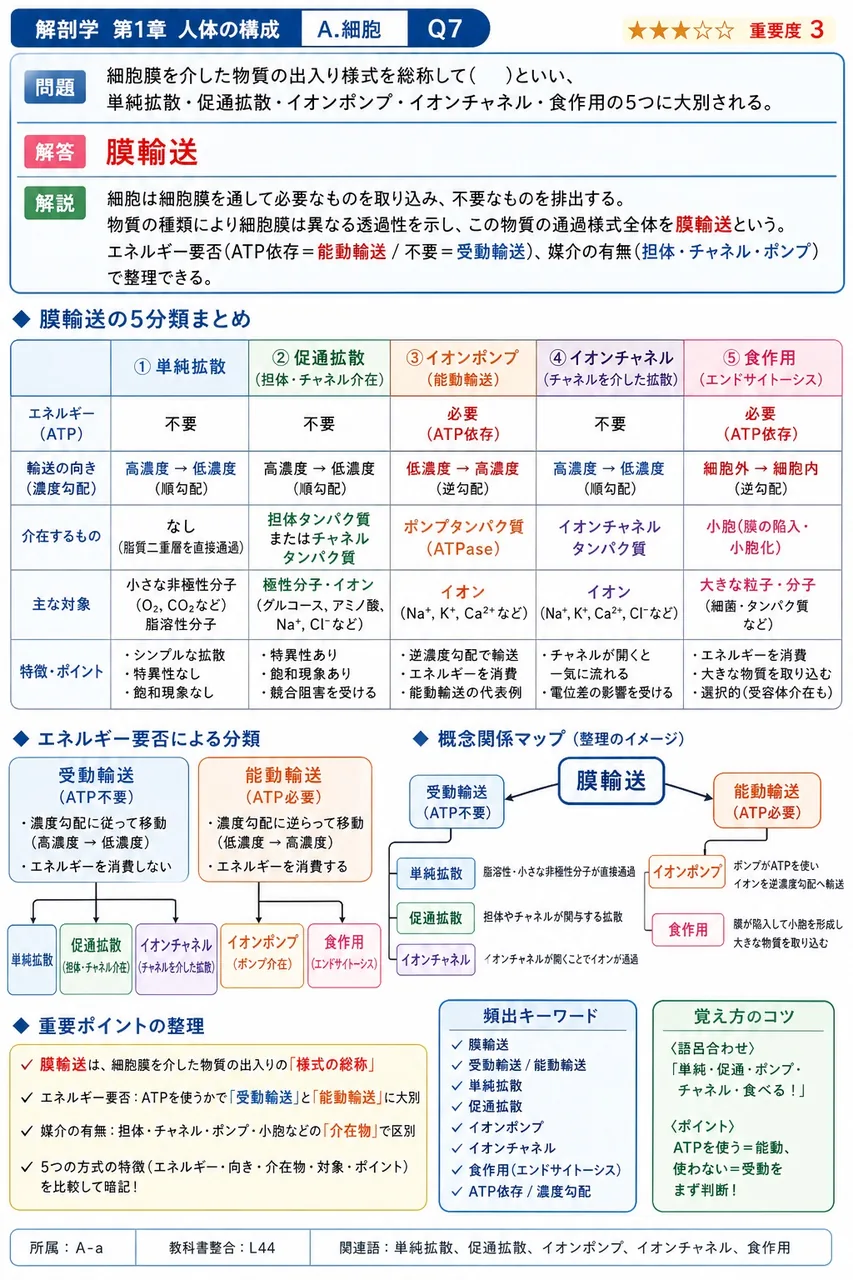 細胞膜を介した物質の出入り様式を総称して( )といい、単純拡散・促通拡散・イオンポンプ・イオンチャネル・食作用の5つに大別される。 解説図