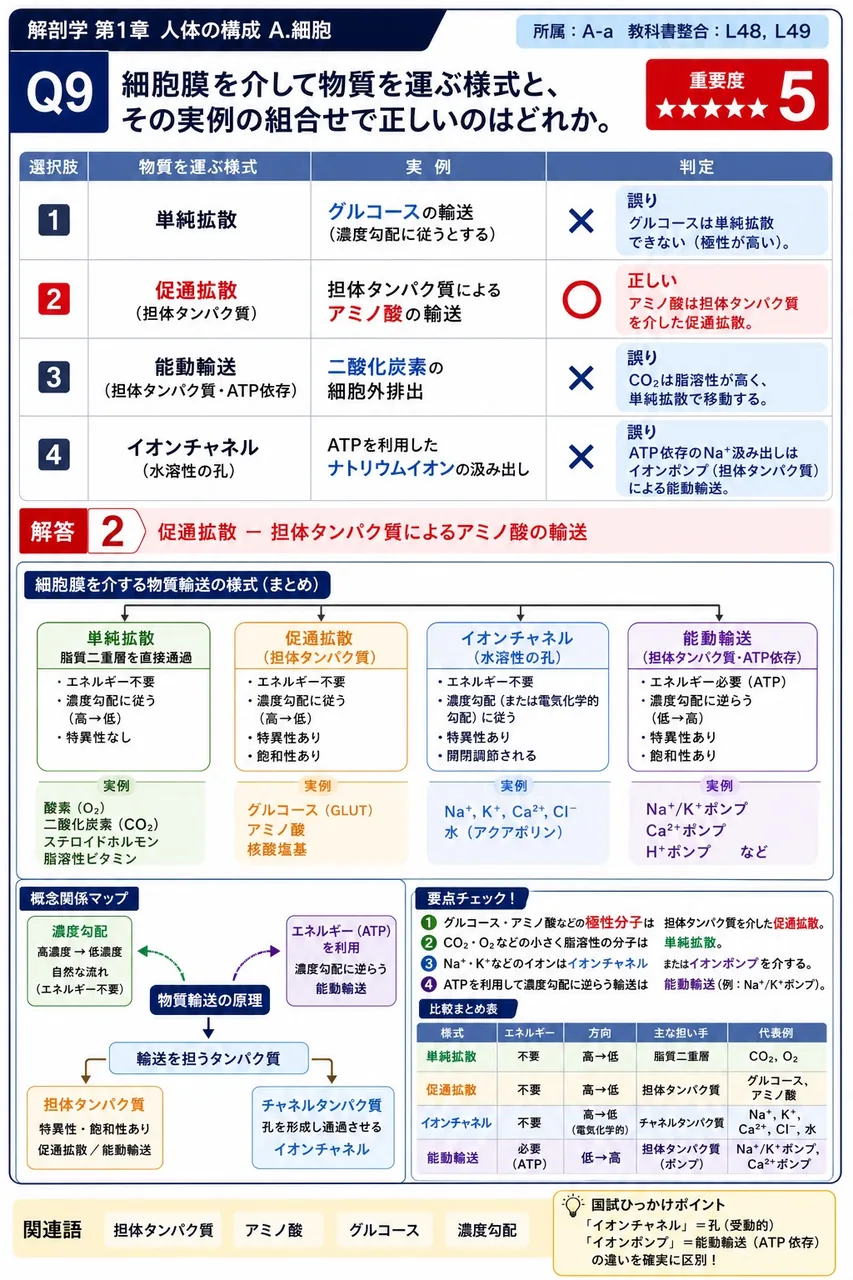 細胞膜を介して物質を運ぶ様式と、その実例の組合せで正しいのはどれか。 解説図