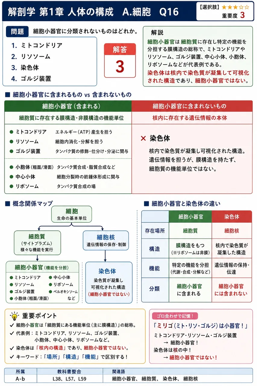 細胞小器官に分類されないものはどれか。 解説図
