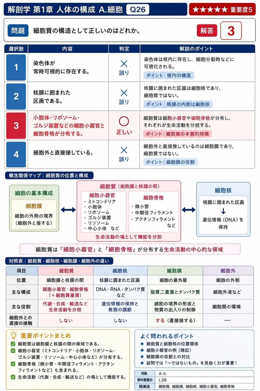 細胞質の構造として正しいのはどれか。 解説図
