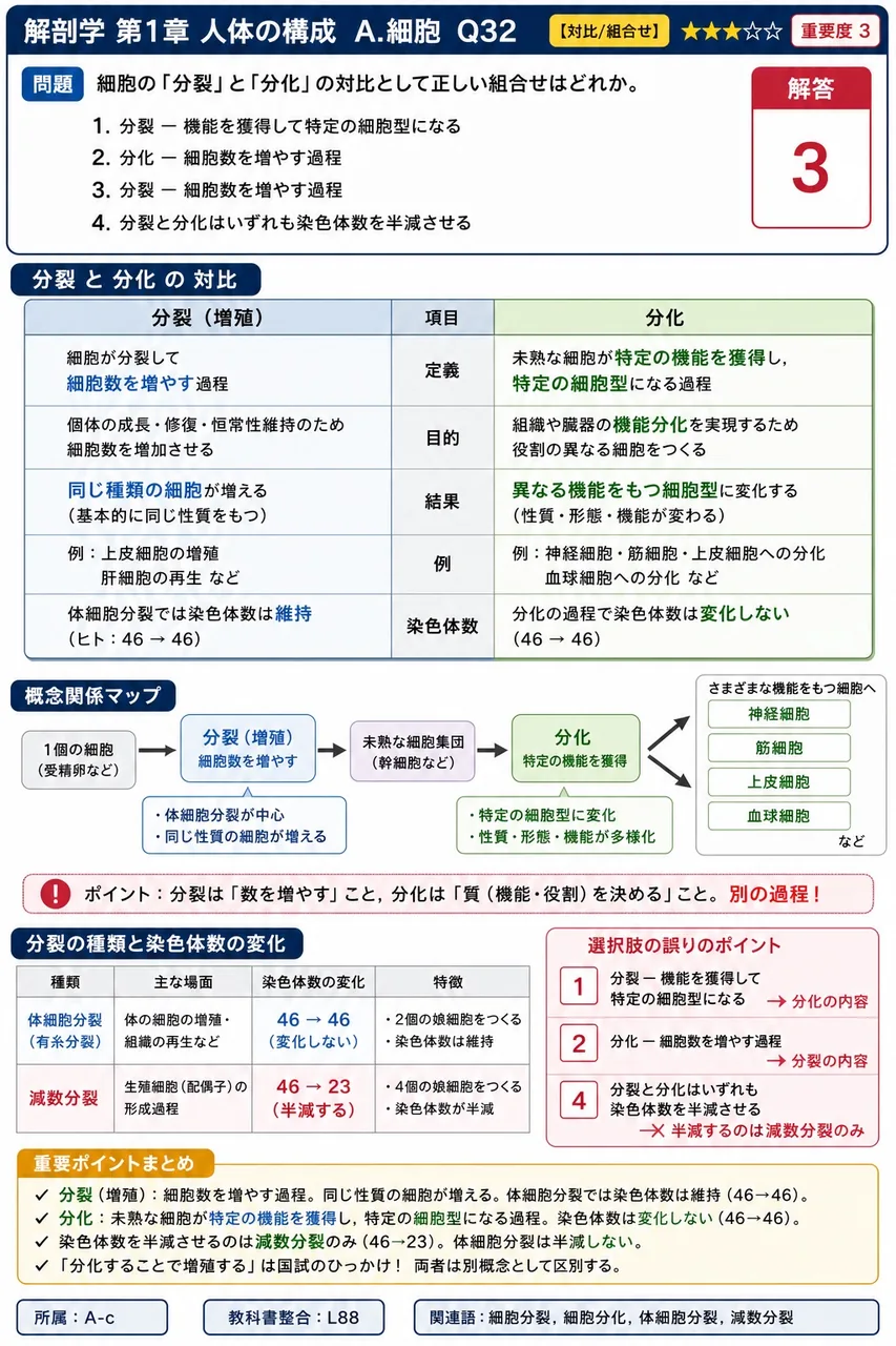 細胞の「分裂」と「分化」の対比として正しい組合せはどれか。 解説図