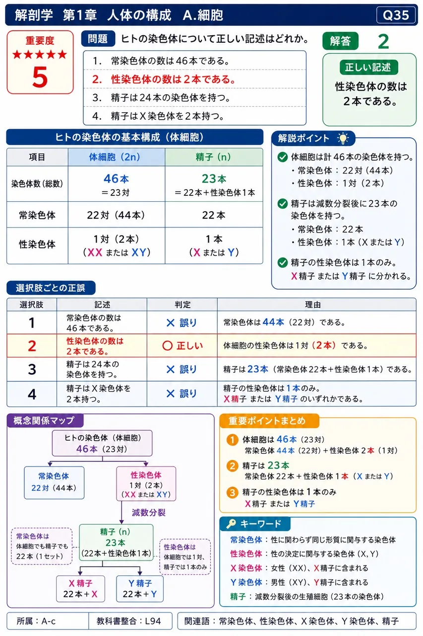 ヒトの染色体について正しい記述はどれか。 解説図