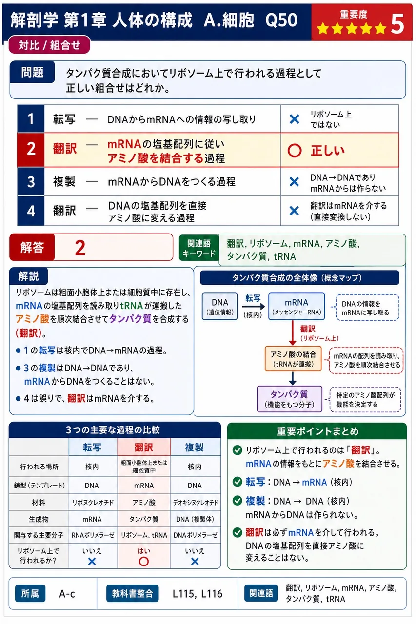 タンパク質合成においてリボソーム上で行われる過程として正しい組合せはどれか。 解説図