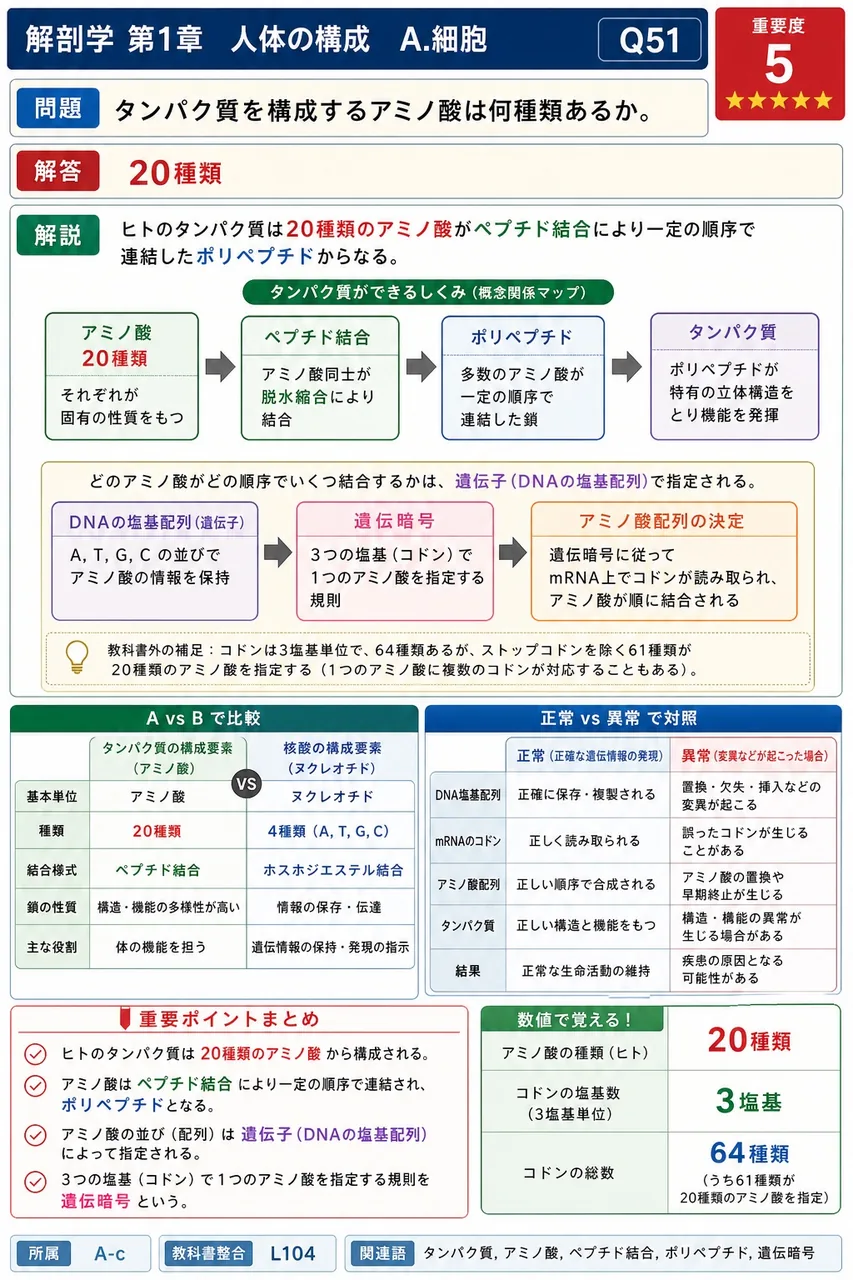 タンパク質を構成するアミノ酸は何種類あるか。 解説図