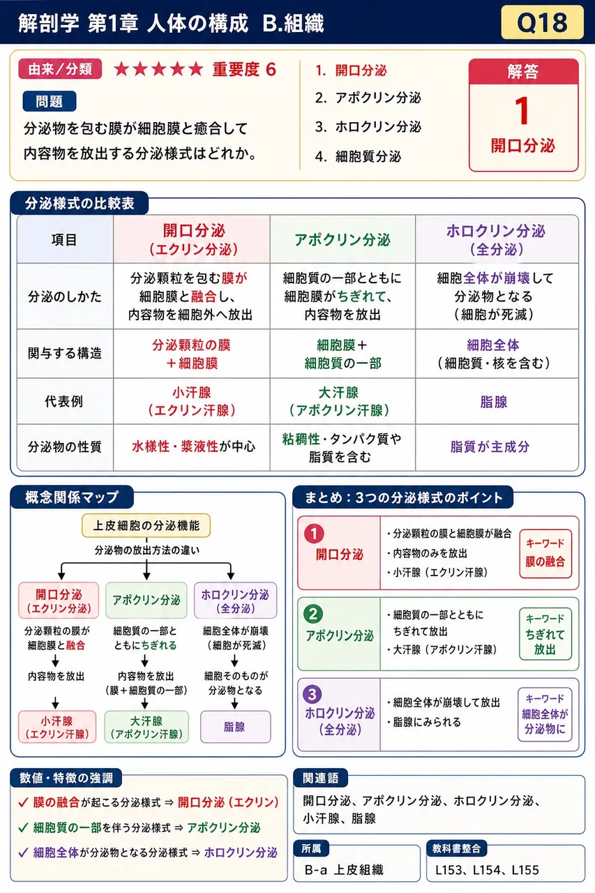 分泌物を包む膜が細胞膜と癒合して内容物を放出する分泌様式はどれか。 解説図