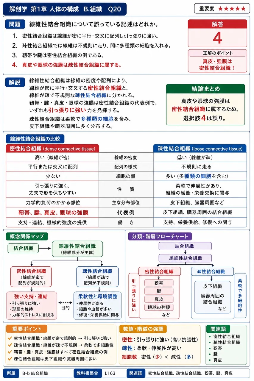 線維性結合組織について誤っている記述はどれか。 解説図
