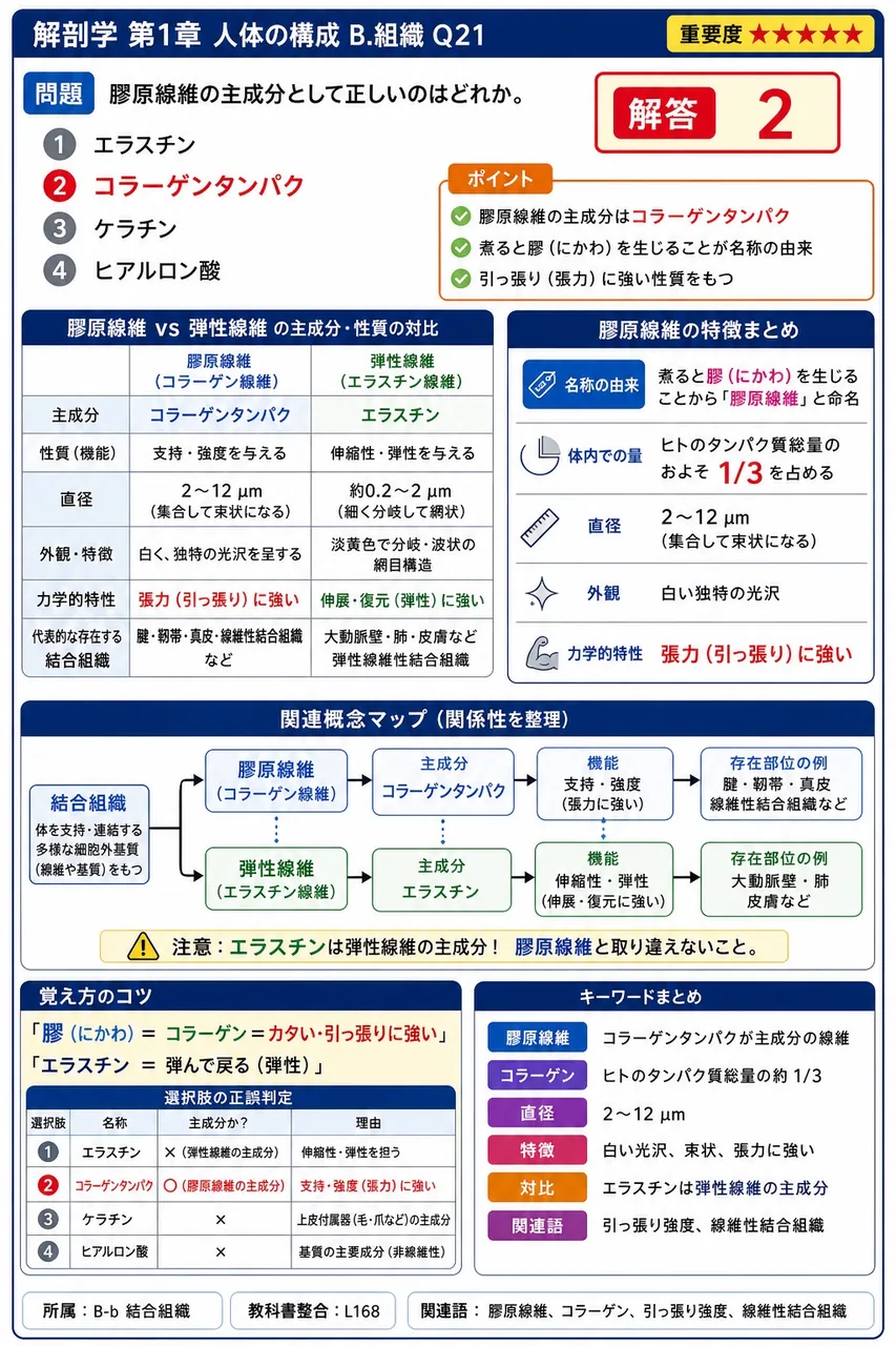 膠原線維の主成分として正しいのはどれか。 解説図