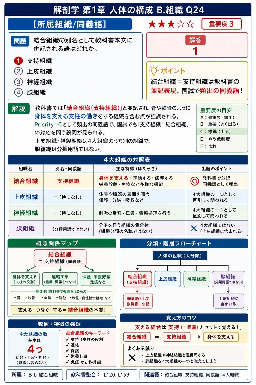 結合組織の別名として教科書本文に併記される語はどれか。 解説図