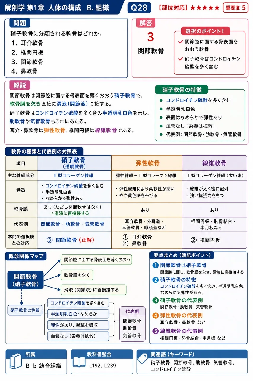 硝子軟骨に分類される軟骨はどれか。 解説図