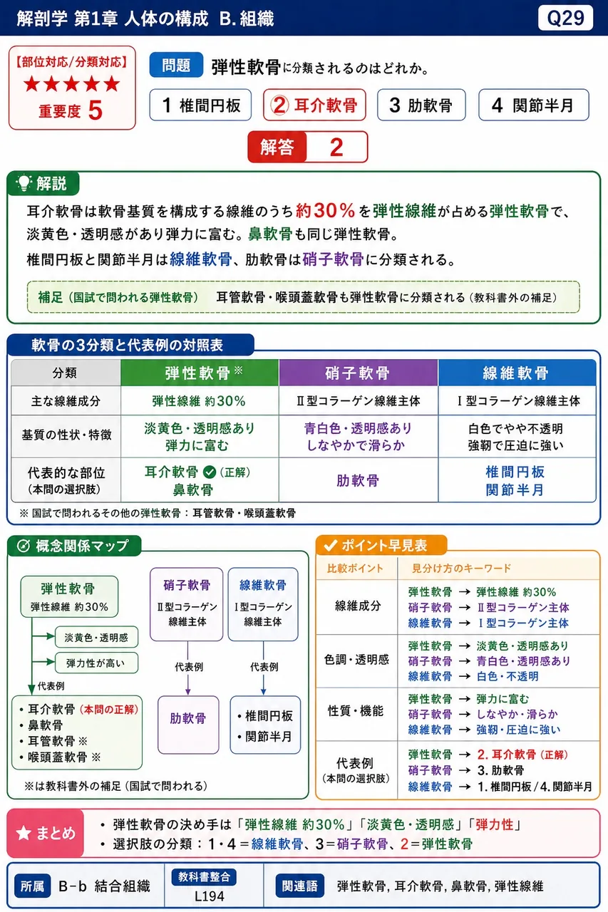 弾性軟骨に分類されるのはどれか。 解説図