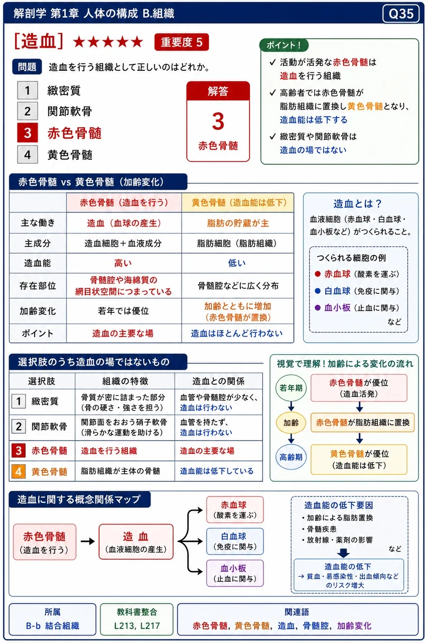 造血を行う組織として正しいのはどれか。 解説図