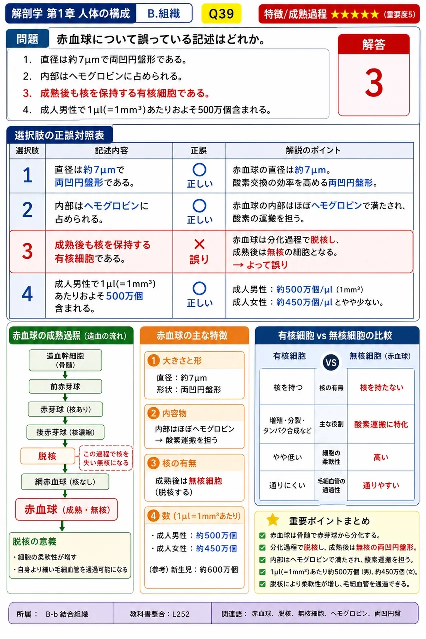 赤血球について誤っている記述はどれか。 解説図