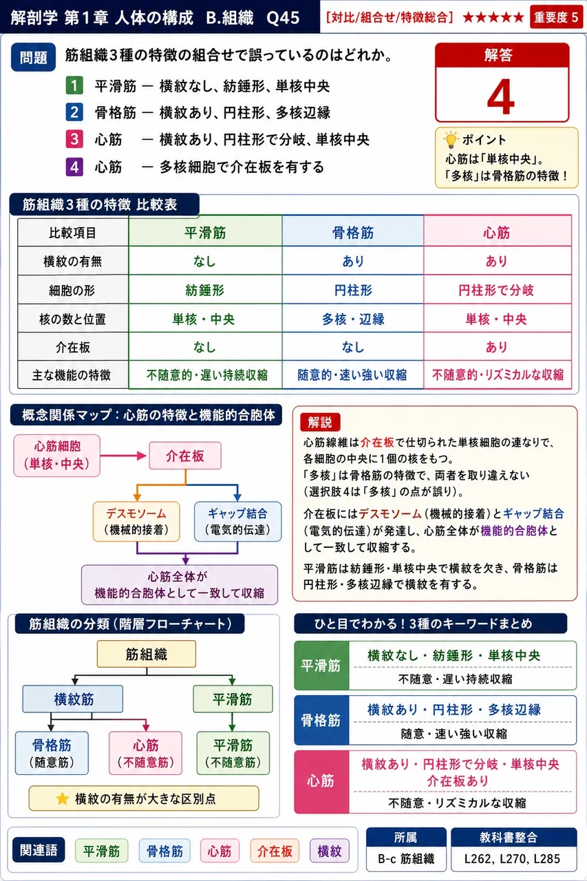 筋組織3種の特徴の組合せで誤っているのはどれか。 解説図
