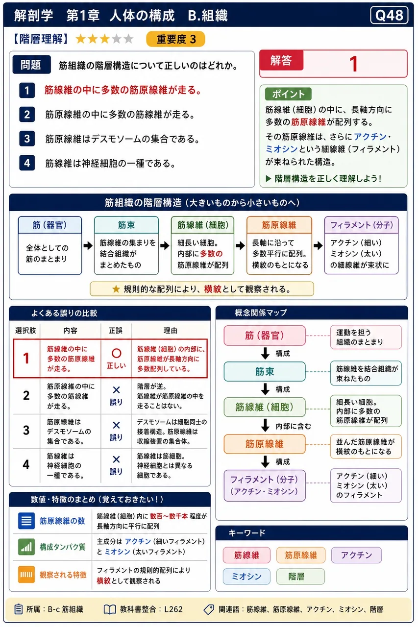 筋組織の階層構造について正しいのはどれか。 解説図
