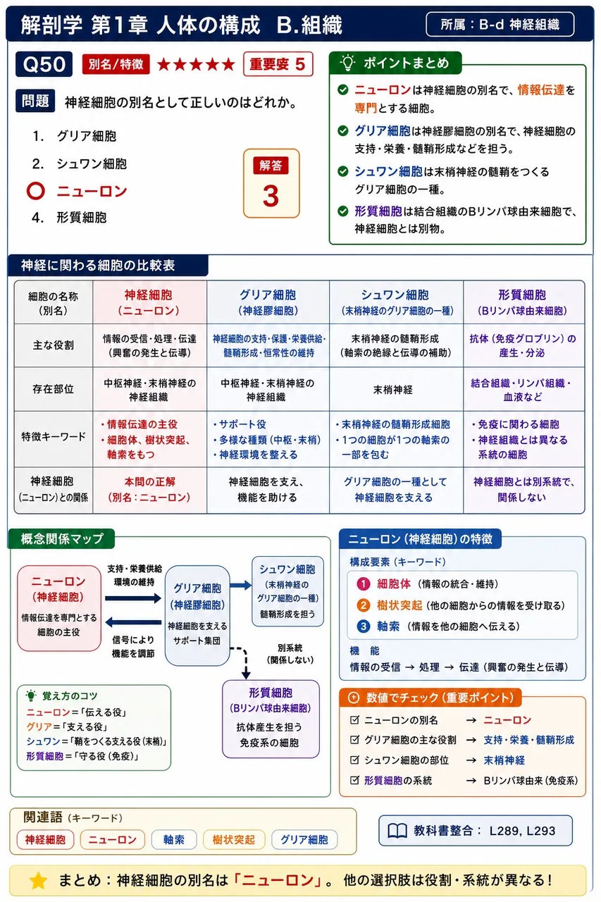 神経細胞の別名として正しいのはどれか。 解説図