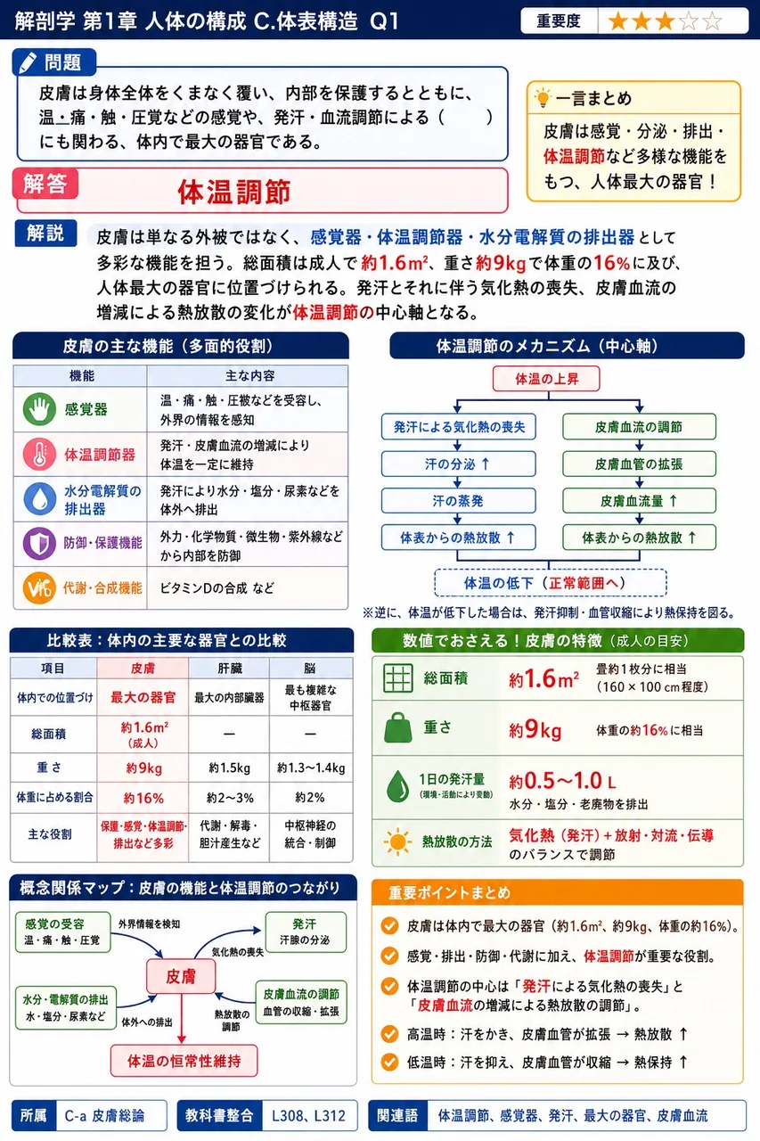 皮膚は身体全体をくまなく覆い、内部を保護するとともに、温・痛・触・圧覚などの感覚や、発汗・血流調節による（ ）にも関わる、体内で最大の器官である。 解説図