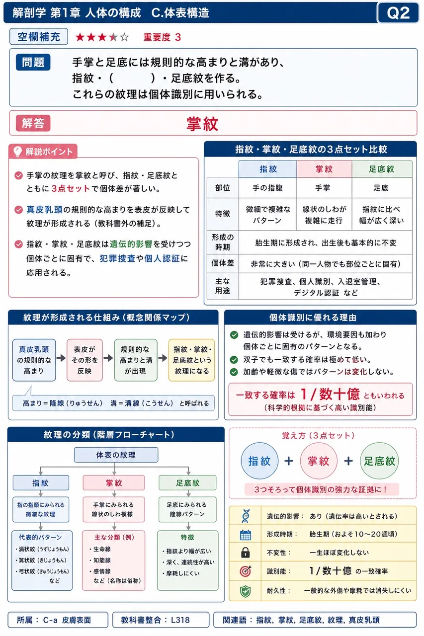 手掌と足底には規則的な高まりと溝があり、指紋・（ ）・足底紋を作る。これらの紋理は個体識別に用いられる。 解説図