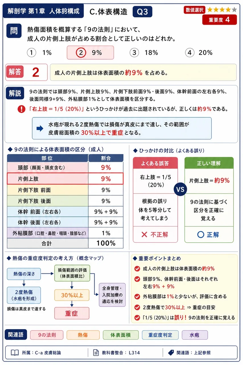 熱傷面積を概算する「9の法則」において、成人の片側上肢が占める割合として正しいのはどれか。 解説図