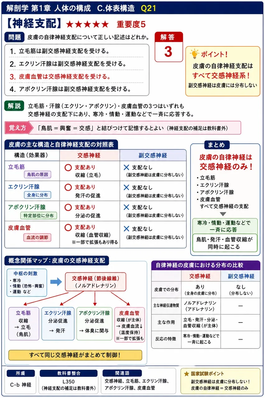 皮膚の自律神経支配について正しい記述はどれか。 解説図