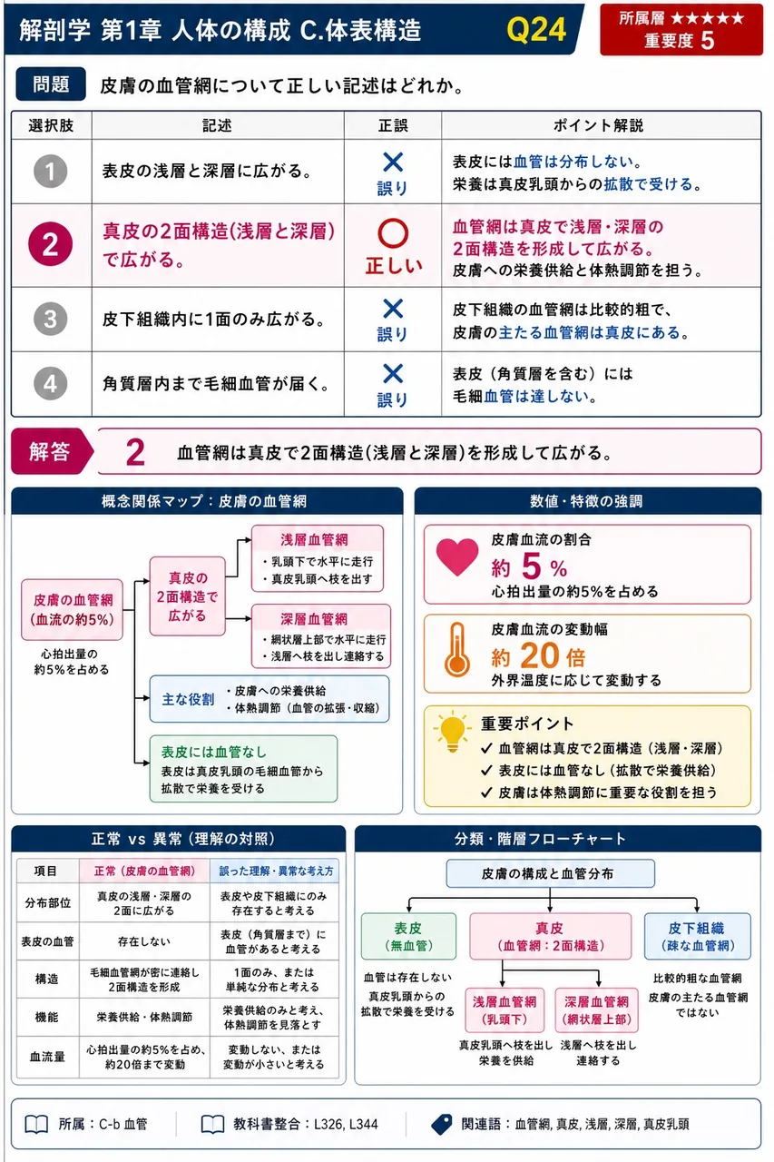 皮膚の血管網について正しい記述はどれか。 解説図