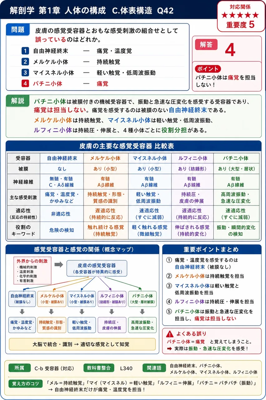 皮膚の感覚受容器とおもな感受刺激の組合せとして誤っているのはどれか。 解説図