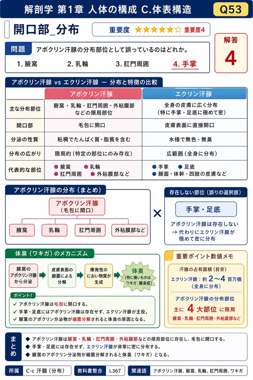 アポクリン汗腺の分布部位として誤っているのはどれか。 解説図