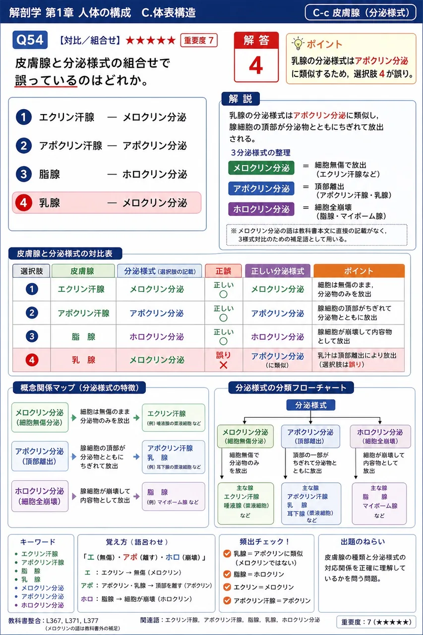 皮膚腺と分泌様式の組合せで誤っているのはどれか。 解説図