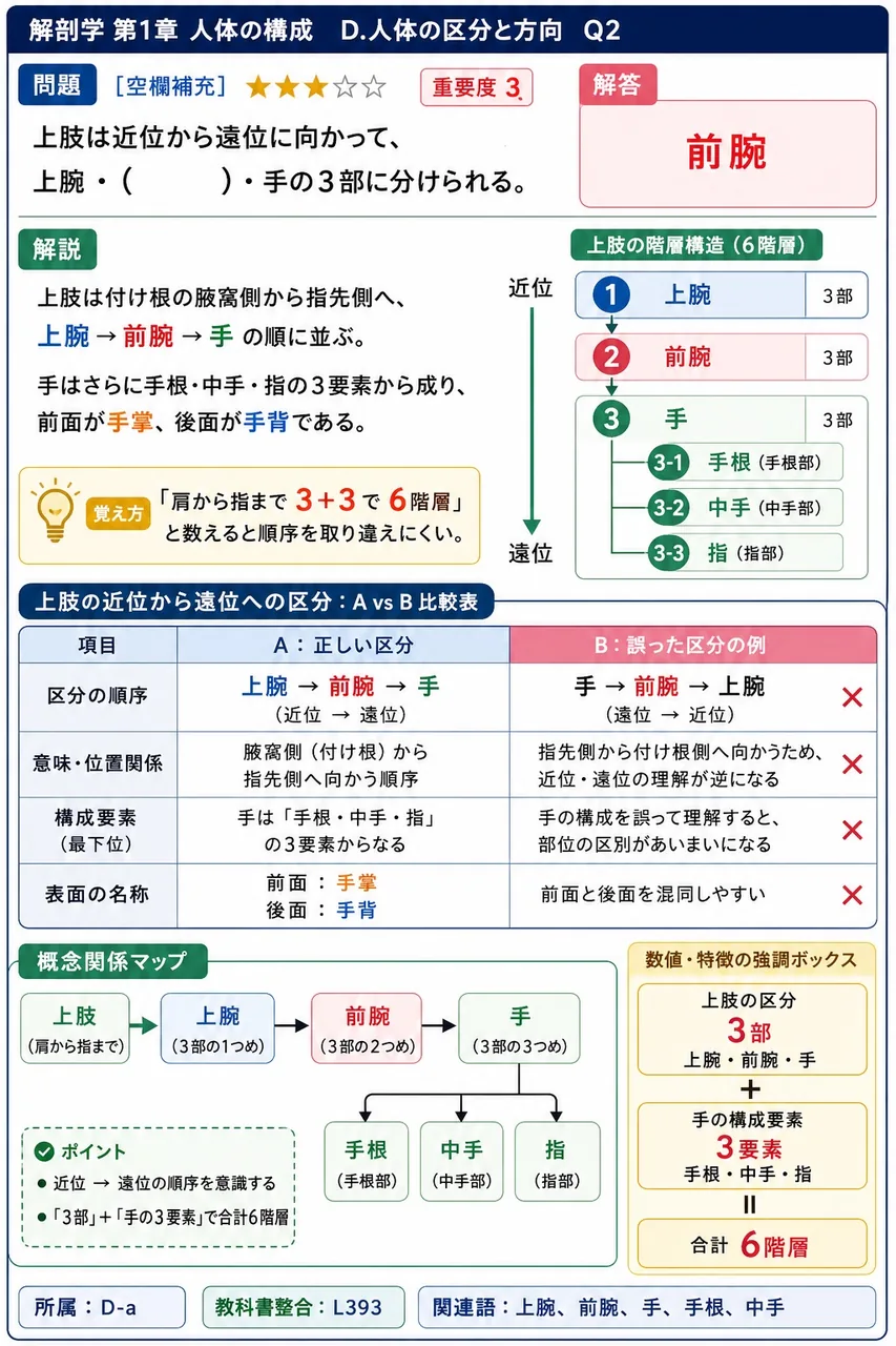 上肢は近位から遠位に向かって、上腕・( )・手の3部に分けられる。 解説図