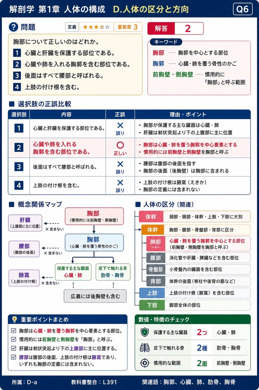 胸部について正しいのはどれか。 解説図