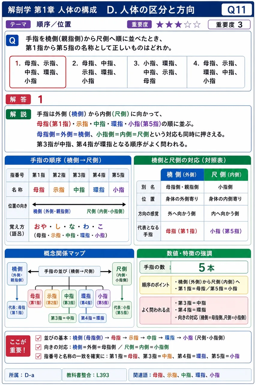 手指を橈側(親指側)から尺側へ順に並べたとき、第1指から第5指の名称として正しいものはどれか。 解説図
