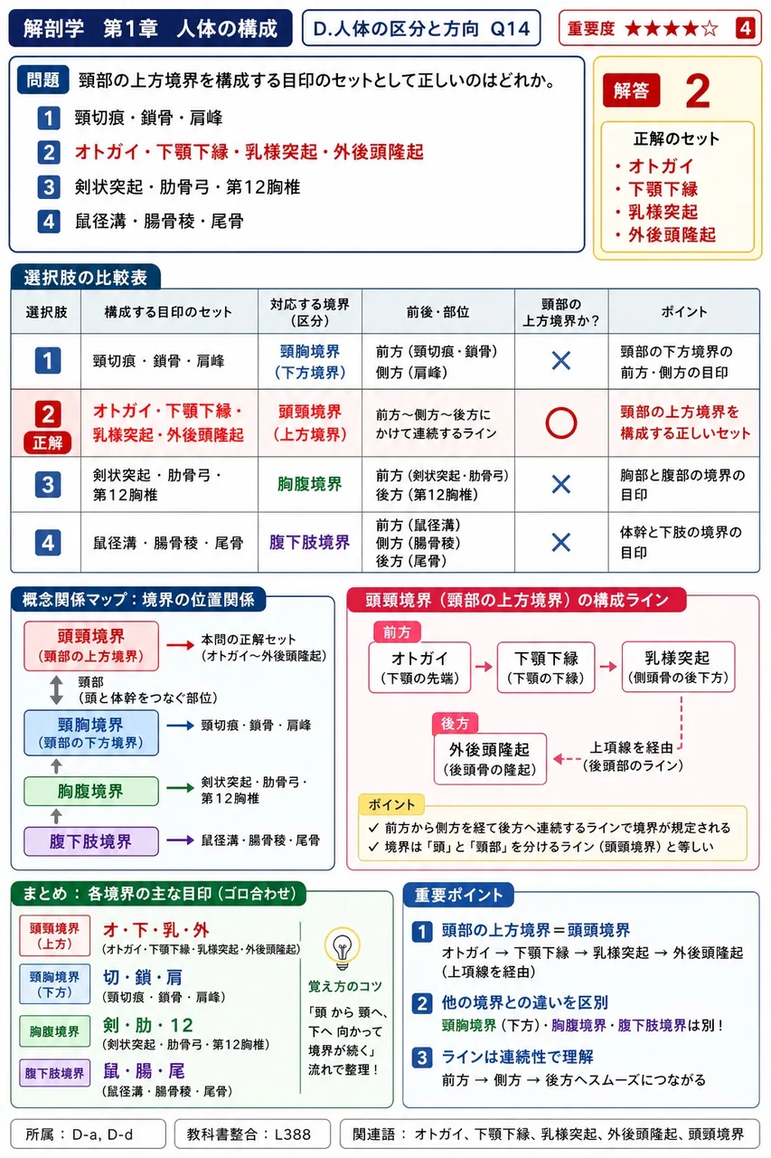 頸部の上方境界を構成する目印のセットとして正しいのはどれか。 解説図