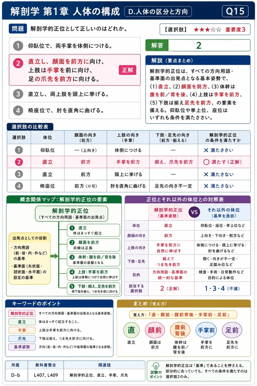 解剖学的正位として正しいのはどれか。 解説図