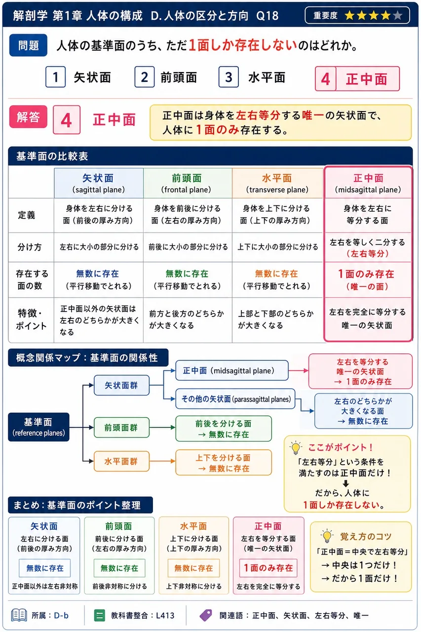 人体の基準面のうち、ただ1面しか存在しないのはどれか。 解説図