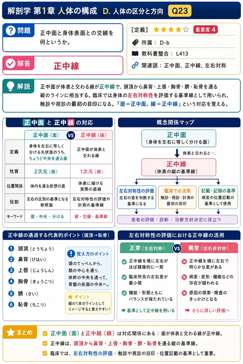 正中面と身体表面との交線を何というか。 解説図