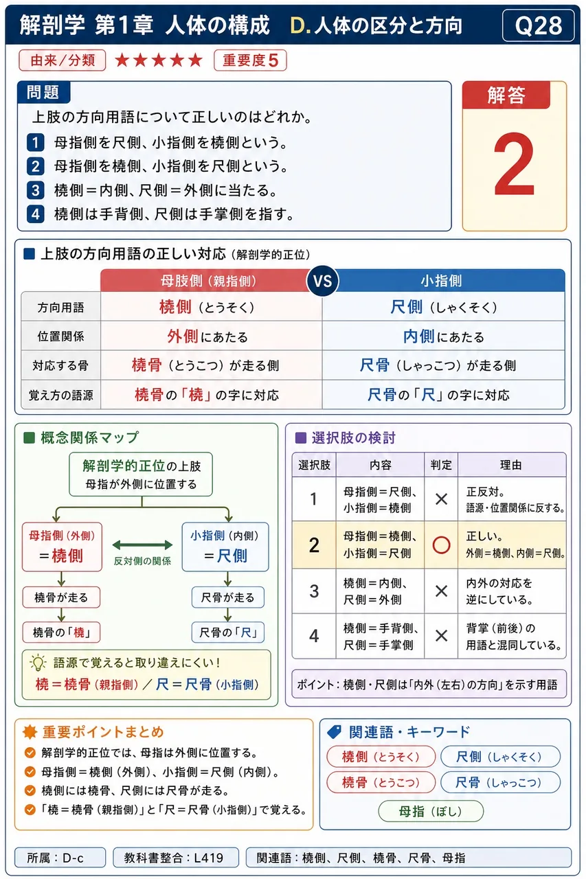 上肢の方向用語について正しいのはどれか。 解説図