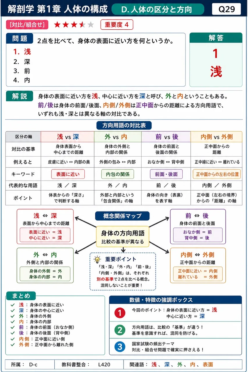 2点を比べて、身体の表面に近い方を何というか。 解説図