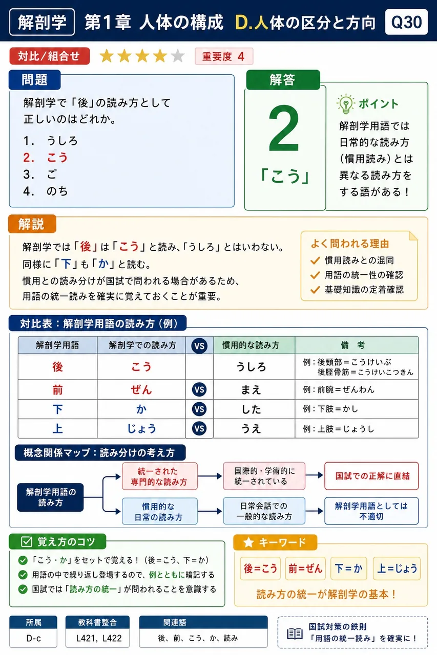 解剖学で「後」の読み方として正しいのはどれか。 解説図