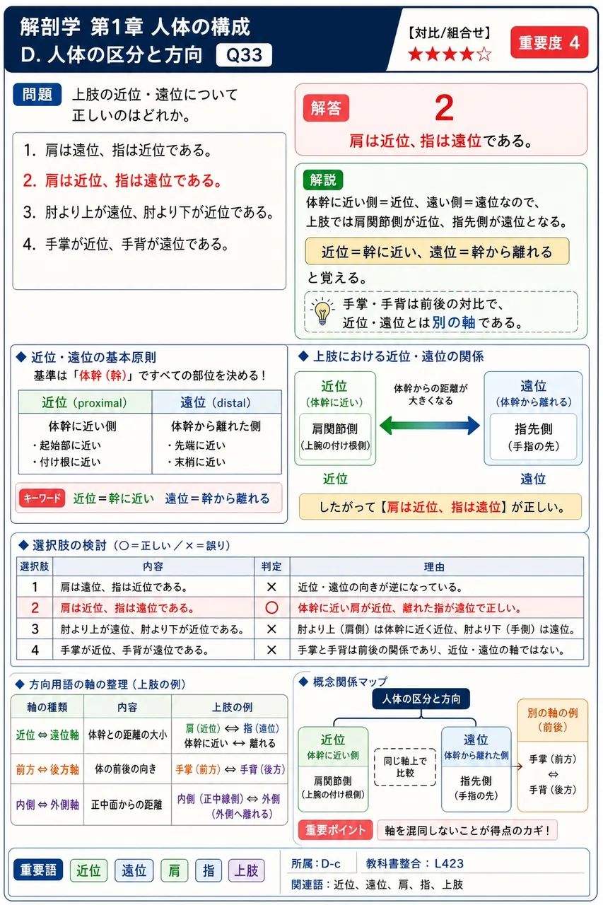 上肢の近位・遠位について正しいのはどれか。 解説図