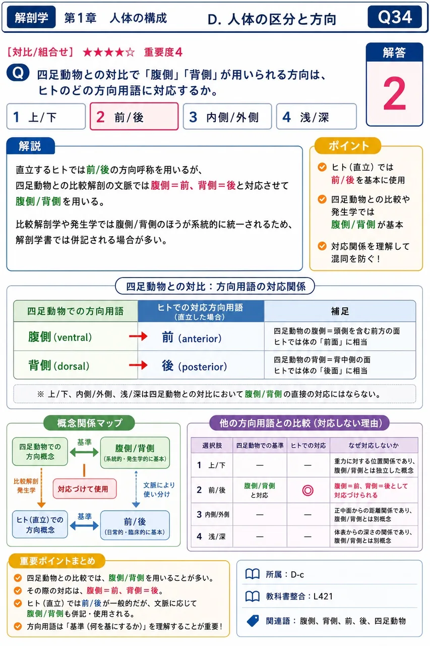 四足動物との対比で「腹側」「背側」が用いられる方向は、ヒトのどの方向用語に対応するか。 解説図