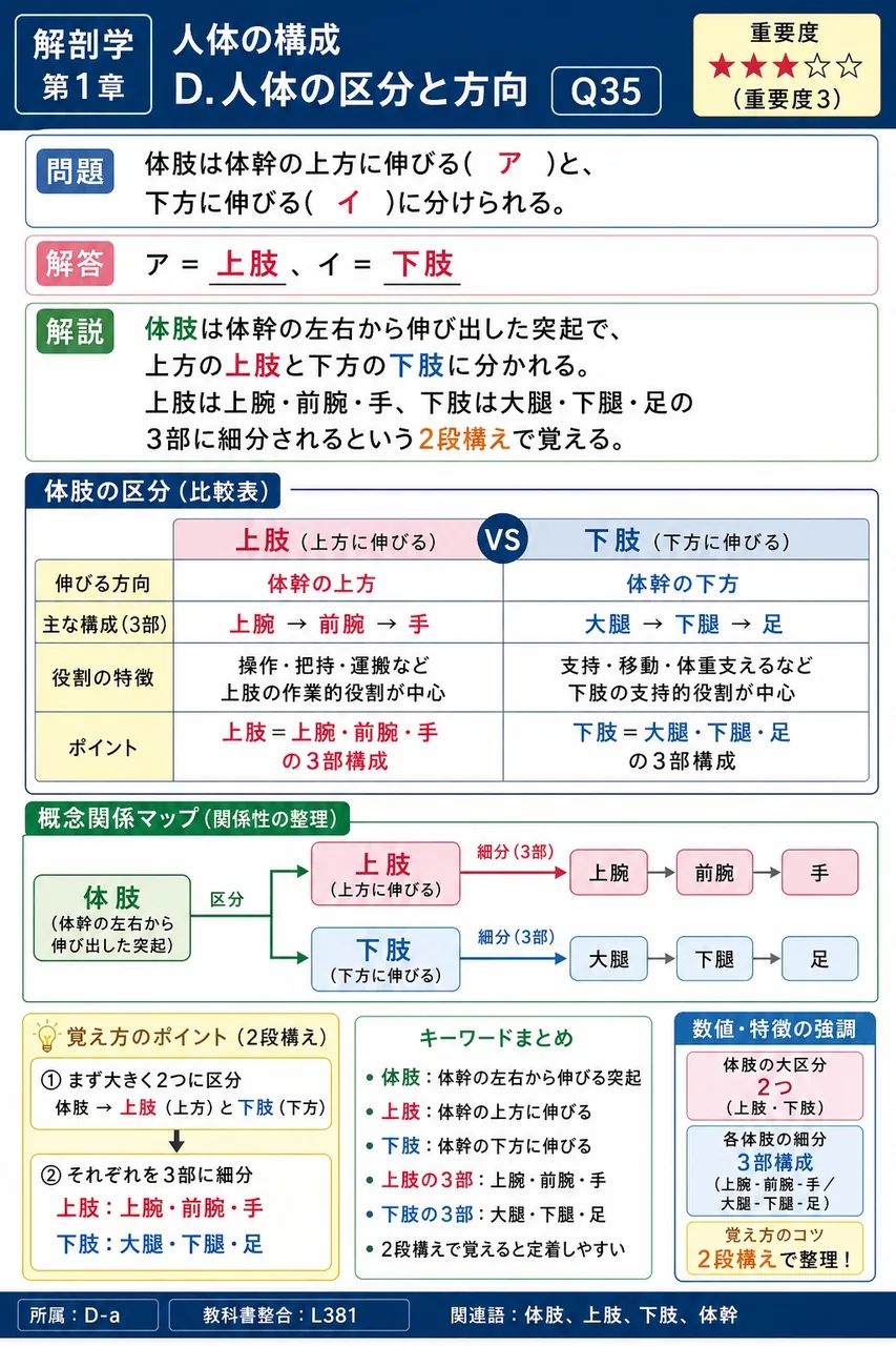 体肢は体幹の上方に伸びる( ア )と、下方に伸びる( イ )に分けられる。 解説図