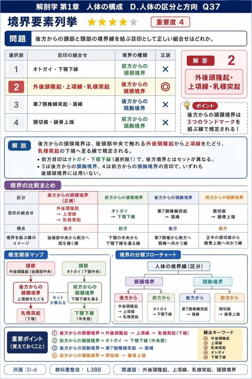 後方からの頭部と頸部の境界線を結ぶ目印として正しい組合せはどれか。 解説図