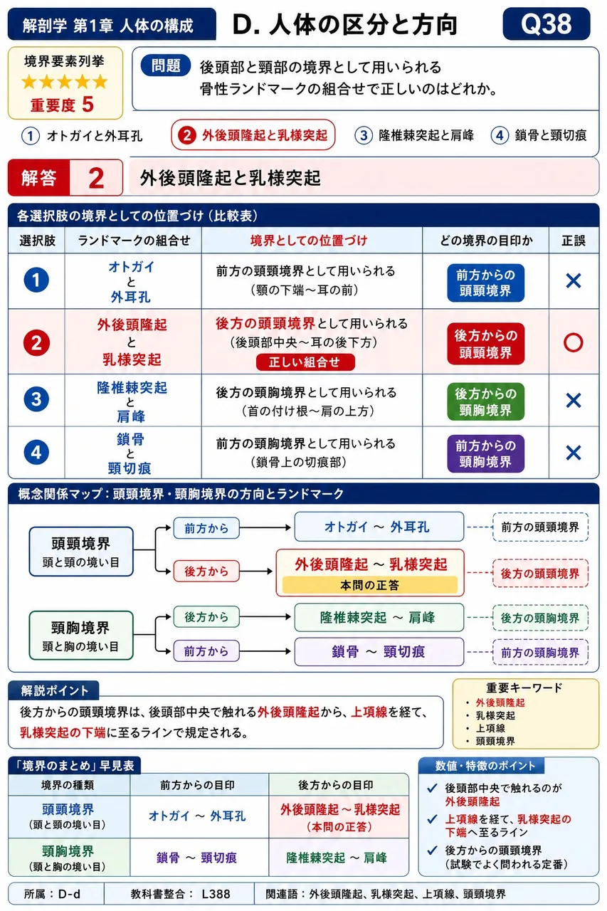 後頭部と頸部の境界として用いられる骨性ランドマークの組合せで正しいのはどれか。 解説図